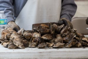 Rock Hall Oysters